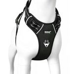 Walking Belt For Dogs