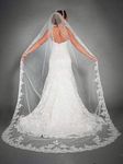 Bmirth 1 Layer Bridal Wedding Veil 