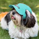 Dog-O-Bow Teal Blue Baseball Cap for Dogs (Medium)