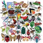 Insect Stickers for Kids Laptop Stickers, 50 PCS Bug Butterfly Dragonfly Bee Vinyl Stickers for Water Bottle, Journal, Daily, Scrapbook, Nature Insect Stickers for Teens Adults Girl Boys (Bug)