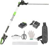 Pole Hedge Trimmer Cordless 20V wit