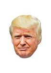 Star Cutouts SM251 Fun Cardboard Face Mask of Donald Trump. Great Talking Point, Fun for Events and Parties. Hand/A, Bronze