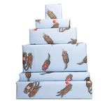 Central 23-6 Wrapping Paper Sheets - Birthday Otters - Blue Gift Wrap for Men Women - Friends - Recyclable and Made In UK