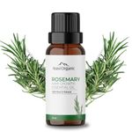 Aravi Organic Rosemary Essential Oil for Hair Growth,Quick Hair Growth Rosemary Oil for Women and Men - 100% Pure Rosemary Leaves Oil - 50 ml