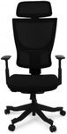 FLEXISPOT Ergonomic Office Chair, M