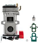 ZYLJHZ A021004920 Carburetor for Ec