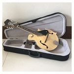 ZENGXUE Mandolin Notch F Type 8 Line Guitar Mandolin Musical Instrument Mandolin Instrument (Color : 01)