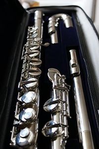 Di Zhao Alto Flute with Straight and Curved Headjoints DZA 100