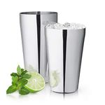 True Advance Boston Cocktail Shaker Set, Stainless Steel Boston Drink Shaker, Martini Shaker Set of 2, 18oz & 25oz