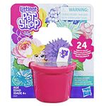 Hasbro E5237 Littlest Pet Shop Best Buds Surprise Pack