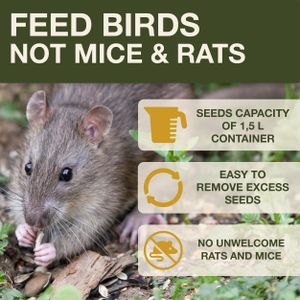 Davos Hanging Bird Feeder Station – Outdoor Garden Wild Bird Feeder