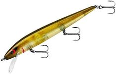 Smithwick Lures ADR5278 Perfect 10 