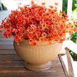 HyeFlora Artificial Fake Fall Mums Flowers Plants for Outdoor Outside, 12 Bundles Faux Silk Orange Daisy UV Resistant Look Real for Autumn Front Door Porch Patio Planter Decoration