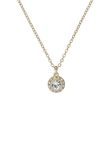 Ted Baker Soltell Solitaire Sparkle Crystal Necklace for Women (Gold Tone/Crystal)