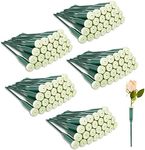 150 Pcs Floral Water Tubes Plastic 