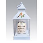 Waterproof Robin Memorial Graveside Lantern with LED Candle (Son)