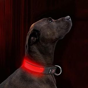 LED Dog Co