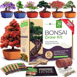 HOME GROWN Bonsai Tree Kit: Unique Christmas Gift for Men - Bonsai Starter Kit w/ 6 Seed Varieties - Unique Designed Pots - All-in-One Craft Kit for Adults for Gardeners & Plant Lovers