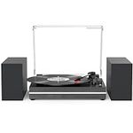 Vinyl Record Player with External S