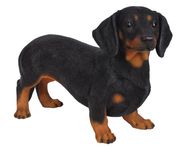 Vivid Arts Daschund Resin Dog