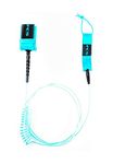 FCS SUP Leash Blue, 10ft