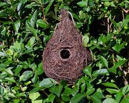 Wildlife World Nesting Pocket for Small Birds