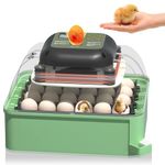 Incubators for Hatching Eggs with Automatic Turner & Humidity Control - Ideal Chicken Egg Incubator - Holds 24 Eggs with Humidity Display, Egg Candler（Green）