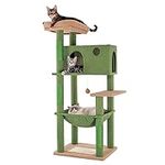 Meow Sir Cactus Cat Tree for Large 