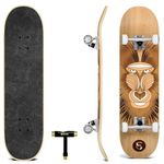 SKATRO - Pro Skateboard 31" Complete Skateboard. Skate Board ages: adults, boys, girls, beginners, and Kids