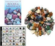 Kolt Mining Premium Bulk Rough Rock Kit – 4lbs of Raw and Natural Crystals and Rocks – Includes a 64-Page Guide – Great STEM/STEAM Teaching Tool – Rock Collection for Geology Enthusiasts