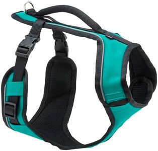 PetSafe EasySport Harness – Padded Straps – Fully Adjustable — Elastic Neckline — Best for Athletic Dogs – Top Handle for Quick Control - Large - Teal