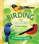 Bird Watching For Babies