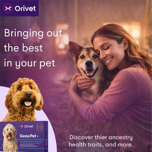 ORIVET GenoPet Plus Dog DNA Test – Breed & Health Screening Kit