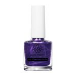 Born Pretty 10ml Stamping Nail Polish from BELLE GAGA® Color Nail Printing Polish DIY for Nail Plate Design Varnish Saloon style Nailart at Home (TVS012)