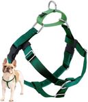 2 Hounds Design Freedom No Pull Dog