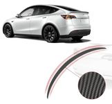 DESLE Tesla Model Y Performance Spoiler Original Trunk Wing,ABS Original Black,Tesla Model Y Spoiler Year 2020-2024 (Carbon Fiber)