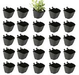 CAPPL Plastic Vertical Garden - Wall Hanging Pot (12.5 cm, 25 Pots, Black)