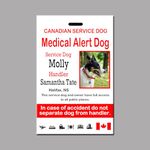 Medical Alert Service Dog ID Card, Medical Alert Service Animal ID Tag