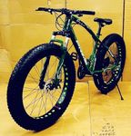 Sunspeed Unisex Mountain Bike | 21-Speed Gear with Double Disc Brakes, Fat Magnesium Tires, Carbon Steel Frame | 26-Inch White, Dual Suspension | Green