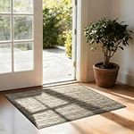 COSY HOMEER Nonslip Door Mat for Indoor, Absorbent Dirt Trapper Front Entryway Door Mat, 100% Polyester Welcome Entrance Mat Rug Modern Style, 60 x 90 cm, Light Brown
