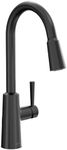 Moen Riley Matte Black Modern One-H