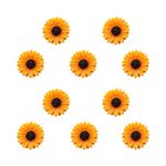 Joyci 10-Pack Women Brooch Lapel Pins Novelty Sunflower Daisy Safety Push Pin Buckle for Shirt Hat Cardigan Sweater Decorate Tie Tacks Pin Back Clutch, Metal, resin