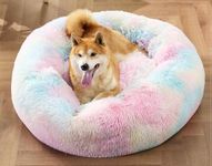 ZEXSAZONE Cozy, Flexible pet Bed is Perfect for Indoor Cats and Puppies for All Weather. (Rainbow, Large)