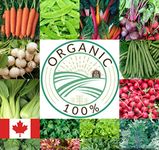 Organic Vegetable Seeds Canada for Planting Non-GMO Heirloom 15 Vegetables Variety Pack Garden Seeds (Fall/Winter Varieties 15)