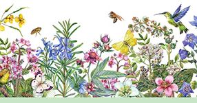 Grace & Gardenia GB50071g8 Living Garden Peel and Stick Wallpaper Border 8in Height x 15ft Off White Blue Green Yellow Purple Designs