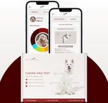 AlphaDog DNA Test – Health Risks & Conditions Screening & Dog Breed Composition Kit – Over 350+ Traits – Includes Marketplace Access