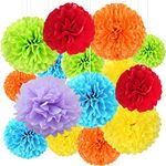 YQkangzhu 18 PCS Tissue Pom Pom Paper, Rainbow Paper Flower Ball Party Decorations for Wedding, Birthday, Bachelorette, Baby Shower, Christmas Parties and Outdoor Decor(8,10,12inch)