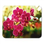 Spring mousepad Computer Pads