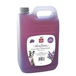 Canine Care Lavender Shampoo, 5 Lit