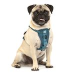 Kurgo, Enhanced Strength Tru-Fit Smart Harness for Dogs, Ink Blue, Small